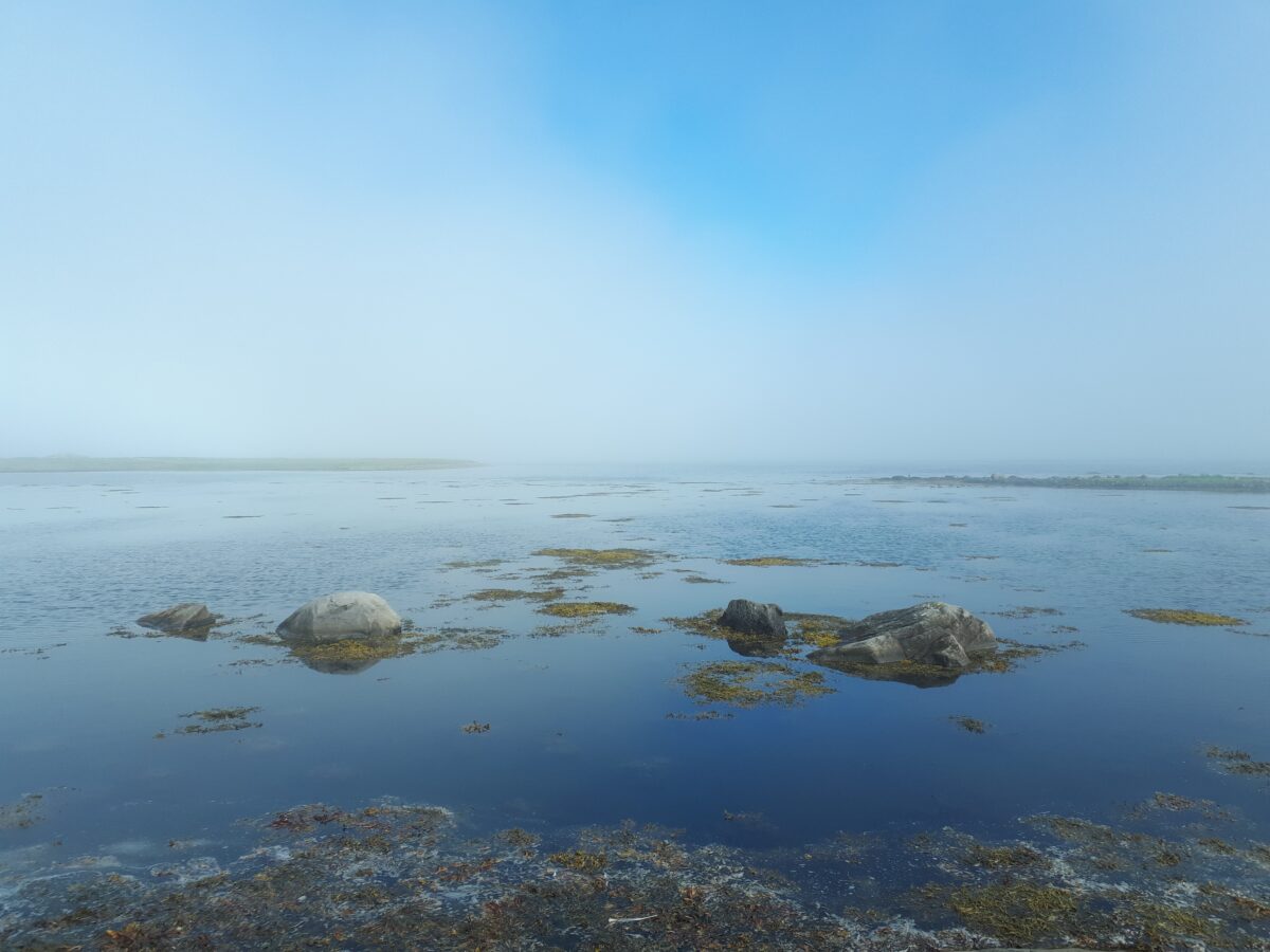 20180813 150233 Við Ásmundarstaði