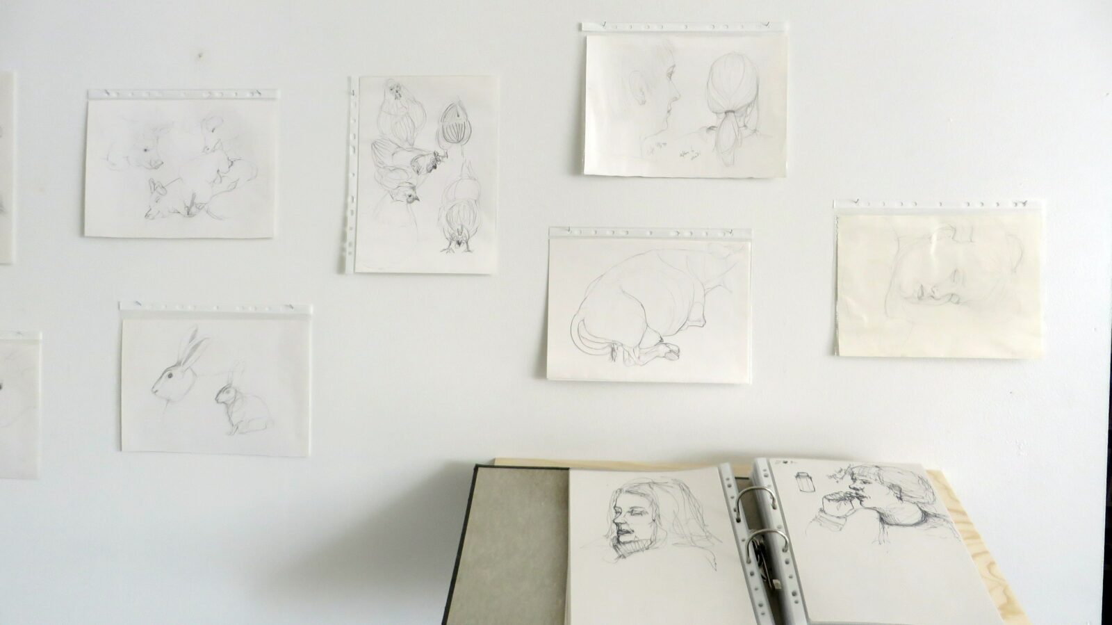 Karlotta Blöndal Gallerí Veggur