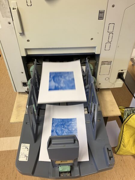 Riso IMG 3481